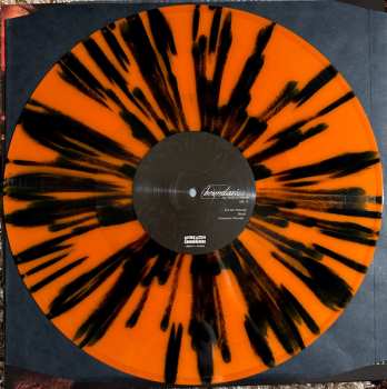 LP Boundaries: My Body In Bloom