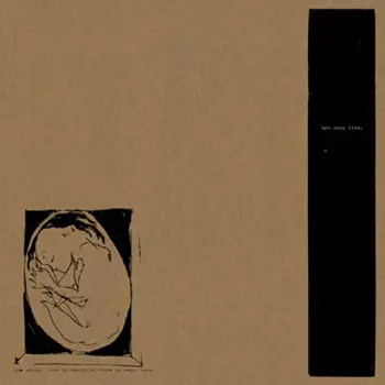 This Crying, This Screaming, My Voice Is Being Born.