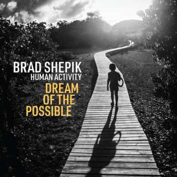 CD Brad Shepik: Human Activity Dream Of The Possible