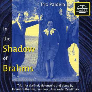 Album Brahms / Zemlinsky / Juon / Trio Paideia: Im Schatten Von Brahms 1