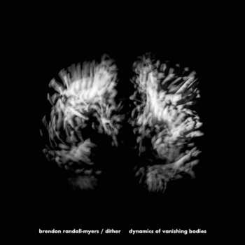 Album Dither: Dynamics Of Vanishing Bodies