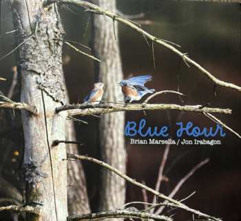 Album Jon Irabagon: Blue Hour
