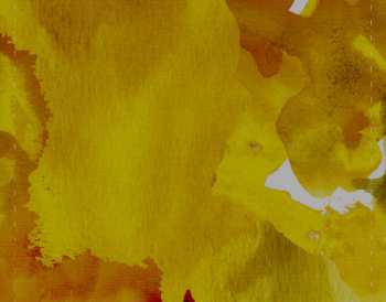 2CD Bruno Lauzi: Bruno Lauzi & Il Club Tenco