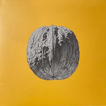 LP Brunori Sas: L'Albero Delle Noci CLR | DLX