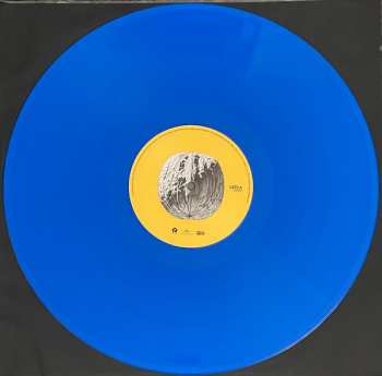 LP Brunori Sas: L'Albero Delle Noci CLR | DLX