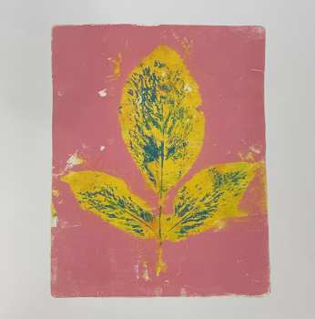 LP Brunori Sas: L'Albero Delle Noci CLR | DLX