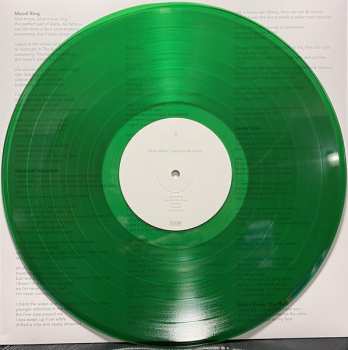 LP Buck Meek: Haunted Mountain CLR | LTD