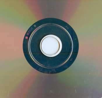 CD Budgie: Life In San Antonio