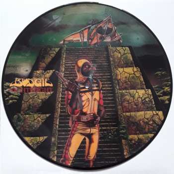 LP Budgie: Nightflight PIC