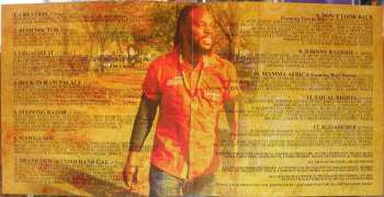 CD Bushman: Sings The Bush Doctor : A Tribute To Peter Tosh