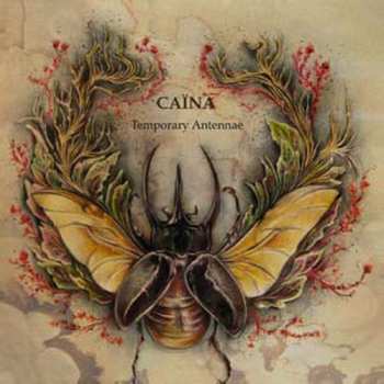Album Caïna: Temporary Antennae