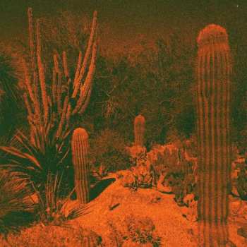 Album Eli Winter: Anticipation