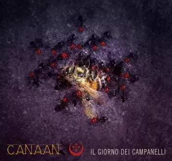 Canaan: Il Giorno Dei Campanelli