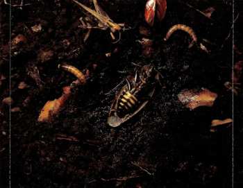 CD Carach Angren: Lammendam