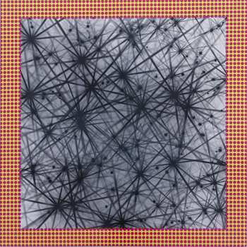 LP Caribou: Honey CLR | LTD