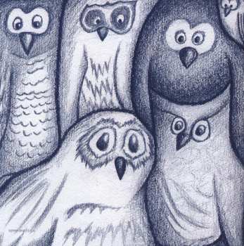 CD Carl Norén: Owls