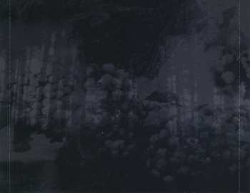 3CD/Zestaw pudełkowy Carpathian Forest: The Fucking Evil Years