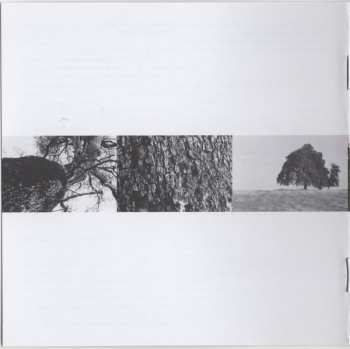 CD Cass McCombs: Interior Live Oak