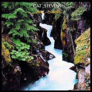 CD Cat Stevens: Back To Earth