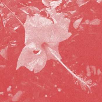 Album Celer: Poulaine