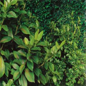 CD Céline Dion: All The Way... A Decade Of Song