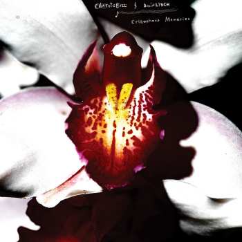 LP David Lynch: Cellophane Memories