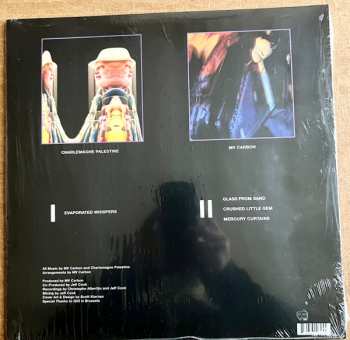LP Charlemagne Palestine: Liquiddd Changesss LTD | CLR