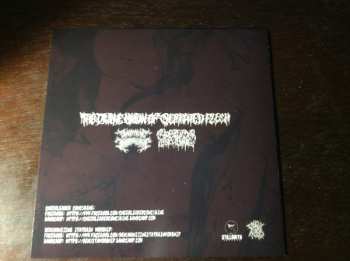 CD Cheerleader Concubine: The Divine Union Of Serrated Flesh