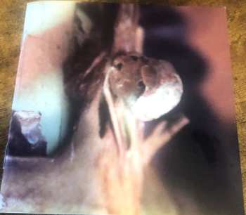 2CD/Zestaw pudełkowy Ches Smith: Path Of Seven Colors