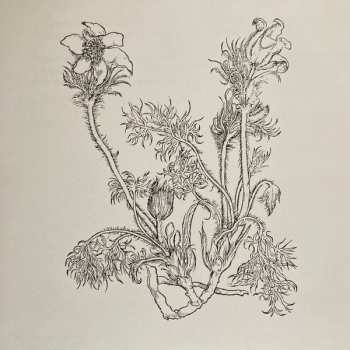 LP Cheval De Frise: Fresques Sur Les Parois Secrètes Du Crâne CLR