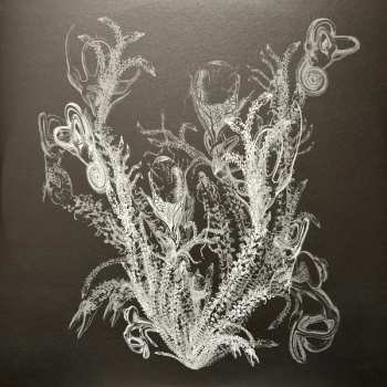 LP Cheval De Frise: Fresques Sur Les Parois Secrètes Du Crâne CLR