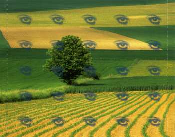 CD Chicane: Far From The Maddening Crowds