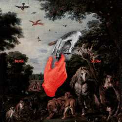 2LP Chris Liebing: Burn Slow