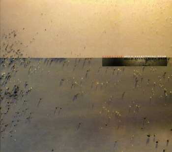 CD Cindytalk: Hold Everything Dear