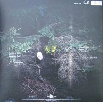 2LP/CD Čisté Tvary: Zem Nás Chce Čistých