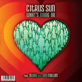 Album Citrus Sun: What's Going On