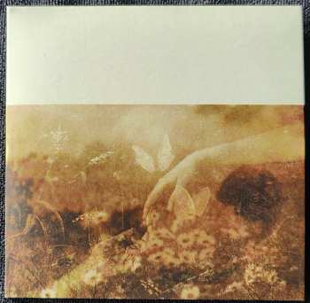 CD City Of Dawn: Invincible Summer