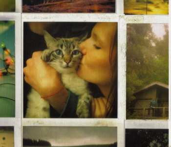 Album Cocoon: My Friends All Died In A Plane Crash