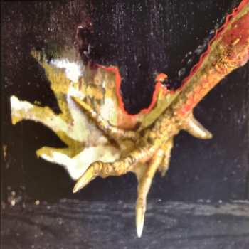 4CD Coil: Astral Disaster (The Definitive Edition) 