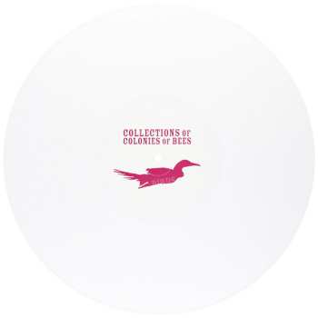 Album Collections Of Colonies Of Bees: Birds
