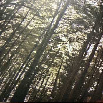 LP Constant Smiles: Moonflowers CLR | LTD