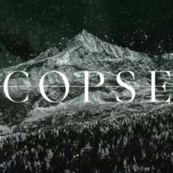 LP Copse: Mmxxiv