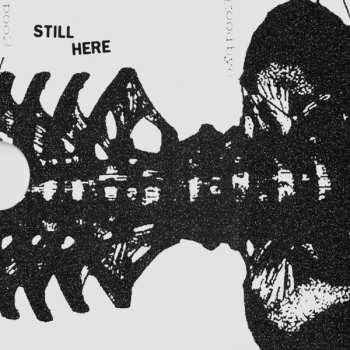 CD Counterparts: A Eulogy For Those Still Here