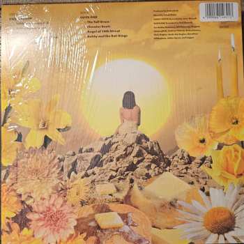 LP Counting Crows: Butter Miracle - The Complete Sweets! CLR | LTD