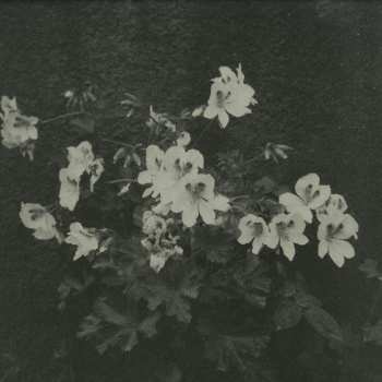 LP Cromby: Planets And Parks EP