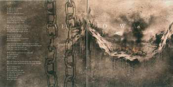 CD Cryptic Forest: Ystyr LTD