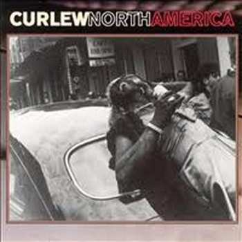 Album Curlew: North America