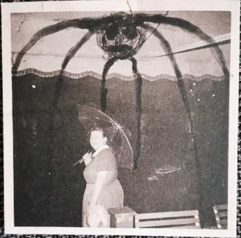 7CD/SP/Zestaw pudełkowy Current 93: The Long Shadow Falls LTD