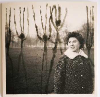 7CD/SP/Zestaw pudełkowy Current 93: The Long Shadow Falls LTD
