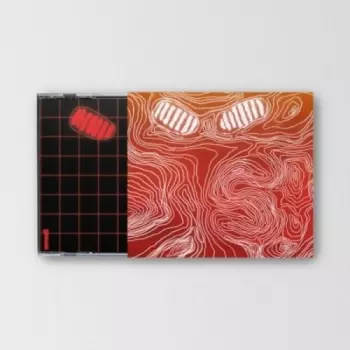 Da Bin Hong: Senses